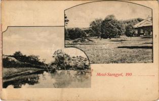 1910 Mezőszengyel, Mező-Szengyel, Sanger; Teleki (Betegh) kúria, kastély. Dunky Fivérek cs. és kir. udvari fényképészek / castle, villa. Art Nouveau (EK)