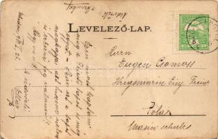 1910 Mezőszengyel, Mező-Szengyel, Sanger; Teleki (Betegh) kúria, kastély. Dunky Fivérek cs. és kir. ...