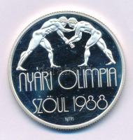 1987. 500Ft Ag "Nyári Olimpia - Szöul 1988" kapszulában T:PP
Adamo EM99