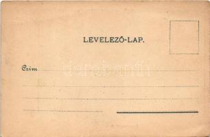 Arad, Hermann palota, Vojtek és Weisz, Kneffel Károly és Fia, Hoffmann Antal üzlete. Lengyel L. műin...