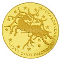 2004. 50.000Ft Au "Magyarország az Európai Unió tagja" tanúsítvánnyal (13,964g/0.986) + 20...
