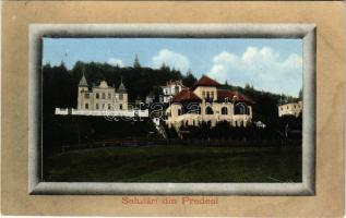 Predeál, Predeal; nyaralók. Ad. Maier &amp; D. Stern kiadása / villas (fa)