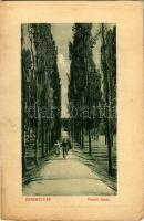 1911 Érsekújvár, Nové Zámky; Vasúti fasor, férfi kerékpárral. W.L. Bp. 433. / road to the railway station, man with bicycle (ázott / wet damage)