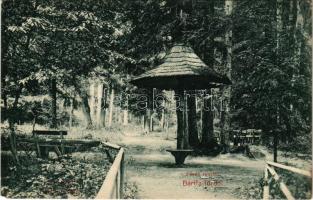 Bártfafürdő, Bardejovské Kúpele, Bardiov, Bardejov; Erdő részlet. Friedman Mór kiadása / forest (EM)
