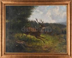 Jelzés nélkül, XIX. sz. vége/XX. sz. eleje: Szarvas és vadászkutya. Olaj, vászon. Proveniencia: Saphier-gyűjtemény. Kissé sérült. Dekoratív keretben, 46×60 cm