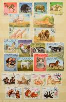 Állat motívum 510 klf bélyeg, közte 19 komplett postatiszta sor, berakóban