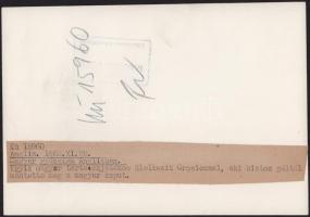 1953 Wembley, Anglia-Magyarország (6:3, 1953. XI. 25.), az "évszázad mérkőzésének" fotói, ...