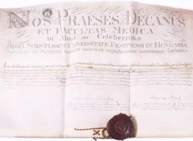 1886 Hümpfner József kalocsai főorvos, Kismarty-Lechner Loránd apósának pergamen szülész orvosi diplomája függő viaszpecséttel A budapesti Királyi Magyar Tudományegyetem által kiállított diploma Jendrassik (Jendrássik) Jenő (1824-1891) orvos, fiziológus, biofizikus, az egyetem rektora; Balogh Kálmán (1835-1888) orvos, egyetemi tanár autográf aláírásával 60x66 cm