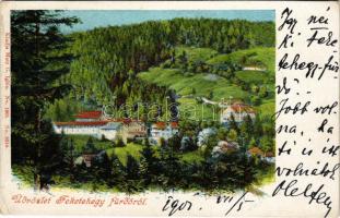 1901 Feketehegy-fürdő, Feketehegy, Schwartzenberg, Cernohorské kúpele (Merény, Vondrisel, Nálepkovo); látkép. Matz G. kiadása / general view (EK)