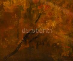 Vlastimil Piha (1920-): Prágai panoráma. Olaj, tempera, karton. Jelezve bal lent (halványan). Kisebb...