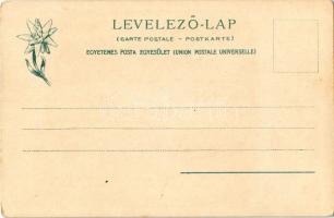 Tátra, Magas-Tátra, Vysoké Tatry; Óriási vízesés. Feitzinger Ede 493. Auto-Chrom 1902/12. / Riesenwa...