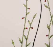 6 darab virágmintás süteményes tányér, jelzett, 19x19 cm