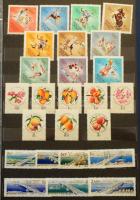 Magyar tétel, benne gyűjtemény rész az 1950-es, 1960-as évekből, hozzá rendező anyag, albumlapok, st...