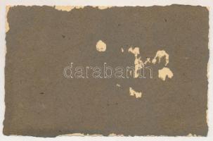 Palánka, Bácspalánka, Backa Palanka; Holokauszt emlékmű avatása a zsidó temetőben 1955-ben. Judaika ...