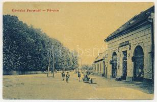 1909 Facset, Facsád, Faget; Fő utca, Klein Dávid üzlete és saját kiadása 1422. (W.L. ?) / main street, publisher's shop (felületi sérülés / surface damage)