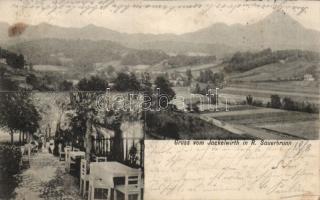 Rogaska Slatina Restaurant Jackelwirth (fl)