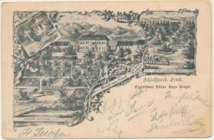 1908 Felek, Freck, Avrig; Kastély, park, fürdő / Badehaus, Schloss und Park / castle park with spa. Art Nouveau, floral (Rb)