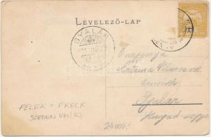 1908 Felek, Freck, Avrig; Kastély, park, fürdő / Badehaus, Schloss und Park / castle park with spa. ...