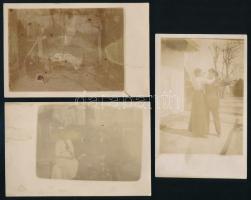1914 Konkoly, családi jelenetek, 3 db hátoldalon feliratozott fotólap, 9×13 cm