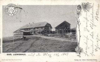 Raxalpe the Karl Ludwighaus