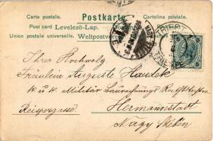 Buon Capo d'anno / New Year greeting art postcard, lady with pigs. "Erika" No. 530. l...