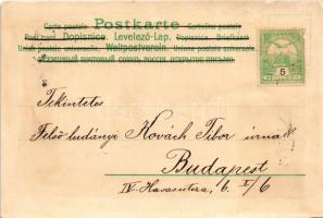 New Year lady greeting art postcard. litho s: Mailick (vágott / cut)