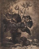 Hajdu jelzéssel: Csendélet. Rézkarc, papír, lapszéli elszíneződéssel, üvegezett fakeretben, 30×24 cm