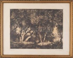 Remsey Jenő (1885-1970): Folyópart. Rézkarc, papír, jelzett, lapszéli ázásnyomokkal, üvegezett fakeretben, 30×39 cm