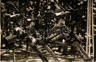 Gödöllő, Cserkész Jamboree, Suomi, Eesti, szarvasok fából faragva / Hungarian boy scout camp, Finnish wooden deer statue. photo (Rb)