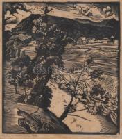 Nagy Nándor (1894-1979): Nyárádszentandrás, (Erdély), 1930 körül. Linómetszet, papír, jelzett. Üvegezett fakereteben, 21×18,5 cm. Ritka!