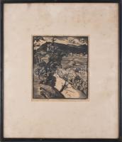 Nagy Nándor (1894-1979): Nyárádszentandrás, (Erdély), 1930 körül. Linómetszet, papír, jelzett. Üvege...