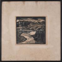 Nagy Nándor (1894-1979): Nyárádszereda, (Erdély), 1936. Linómetszet, papír, jelzett. Üvegezett faker...