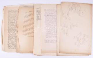 ca 1900-1940 Családtörténeti gyűjtemény, fejjegyzések, családfák, stb