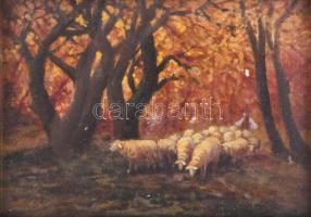 Németh Béla Bertalan (1856-?): Juhász nyájával. Olaj, rétegelt falemez. Jelezve jobbra lent. Dekoratív, üvegezett fakeretben. 13x18 cm