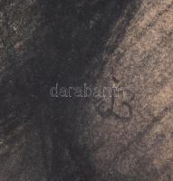 Olvashatatlan jelzéssel: Arckép. Szén, papír. Üvegezett fakeretben, 33x25 cm