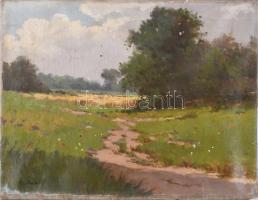 Csabai Pántl László (1904-1982): Virágos rét. Olaj, vászon, jelzett, dublírozott, 34,5×44,5 cm