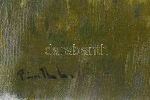 Csabai Pántl László (1904-1982): Virágos rét. Olaj, vászon, jelzett, dublírozott, 34,5×44,5 cm