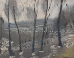 Mednyánszky jelzéssel: Táj. Akvarell, papír. Üvegezett fakeretben, 22×28 cm