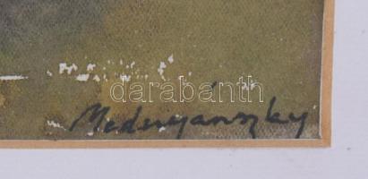 Mednyánszky jelzéssel: Táj. Akvarell, papír. Üvegezett fakeretben, 22×28 cm