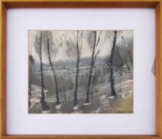 Mednyánszky jelzéssel: Táj. Akvarell, papír. Üvegezett fakeretben, 22×28 cm