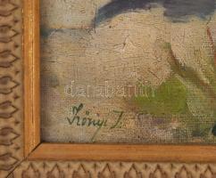 Szőnyi jelzéssel: Táj. Olaj, vászon. Apró sérüléssel. Dekoratív fakeretben, 39×28 cm