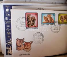 Hatalmas modern magyar több példányos FDC tétel hullámkarton ládában. Érdemes megnézni!!