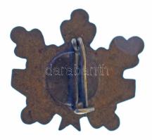 1975 k. "Szakmunkás" zománcozott tombak szolgálati jelvény (21x23mm) T:AU