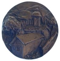DN Faluképet ábrázoló, egyoldalas, kisméretű bronz emlékérem (70mm) T:AU hátoldalon ragasztónyom