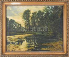 Olvashatatlan jelzéssel: Vízparti táj. Olaj, vászon. Dekoratív fakeretben, 45×55 cm