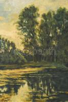Olvashatatlan jelzéssel: Vízparti táj. Olaj, vászon. Dekoratív fakeretben, 45×55 cm
