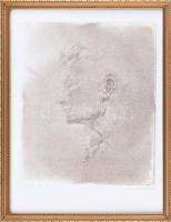 Almásy Aladár (1946-): Salome arca. Rézkarc, papír, jelzett, számozott (100/100), üvegezett fakeretben, 32,5×27 cm