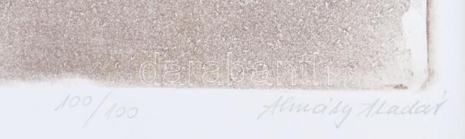 Almásy Aladár (1946-): Salome arca. Rézkarc, papír, jelzett, számozott (100/100), üvegezett fakeretb...