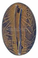 1970-1980. "Érdemes Vasutas" aranyozott, zománcozott kitüntető jelvénye (44x38mm) T:AU,XF ...