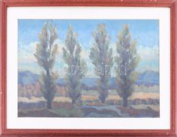 Balla Béla jelzéssel: Táj. Pasztell, papír. Üvegezett fakeretben, 30×46 cm